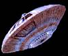 Flying saucer